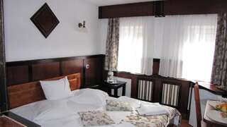 Отели типа «постель и завтрак» Vila Elitte Predeal Предял Стандартный двухместный номер с 1 кроватью-6