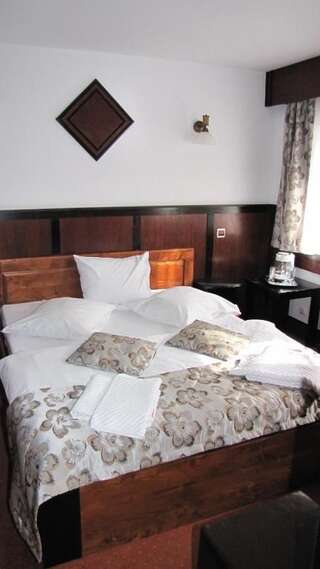 Отели типа «постель и завтрак» Vila Elitte Predeal Предял Стандартный двухместный номер с 1 кроватью-7
